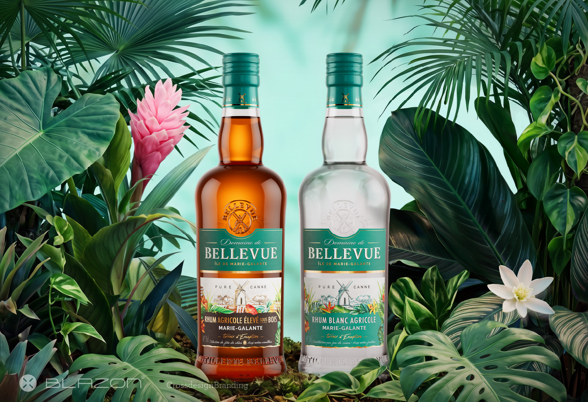 blazon design slide portfolio DOMAINE DE BELLEVUE